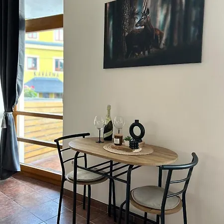 Apartman Smrk Vrbno pod Pradedem Exterior photo